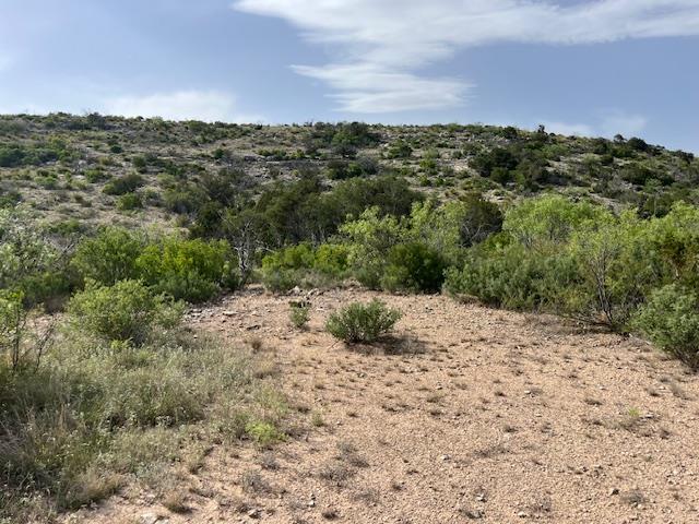 11838 Juno Rd, Ozona, TX 76943