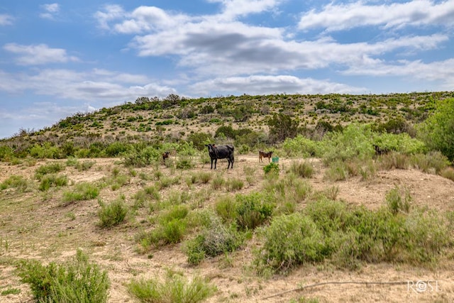 11838 Juno Rd, Ozona, TX 76943