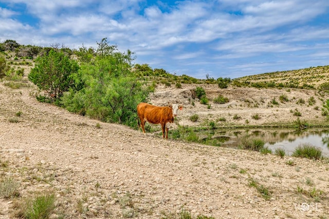 11838 Juno Rd, Ozona, TX 76943