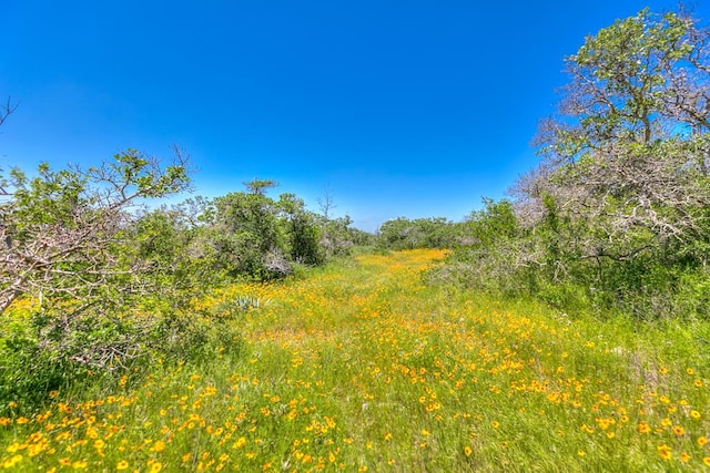 view of nature