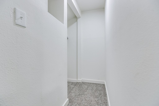 spacious closet with light carpet