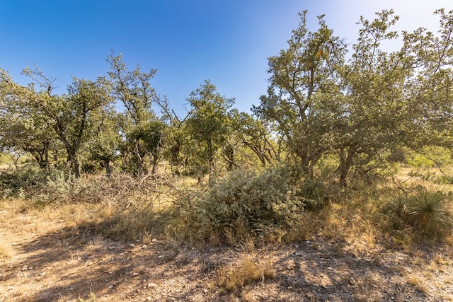 Listing photo 3 for 00 Timber Trl, Eden TX 76837