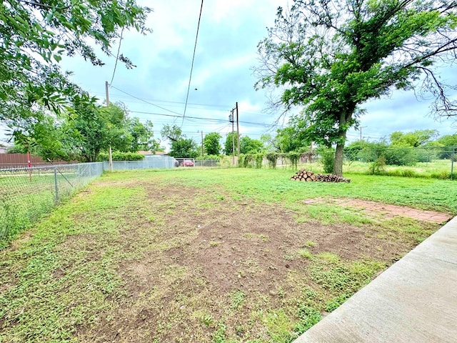 919 E 20th St, San Angelo, TX 76903 - view of yard