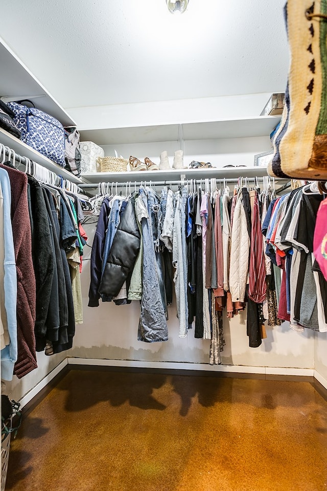 view of spacious closet