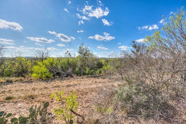 261 Edinburgh Rd, San Angelo, TX 76901 - view of local wilderness