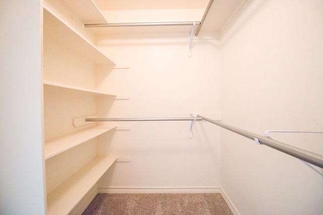 5806 Willeke Dr, San Angelo, TX 76904 - walk in closet with carpet floors
