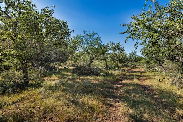 631 Timber Trl, Eden TX, 76837 land for sale