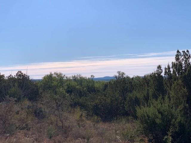 2400 Fm 2662, Bronte, TX 76933 - photo 84
