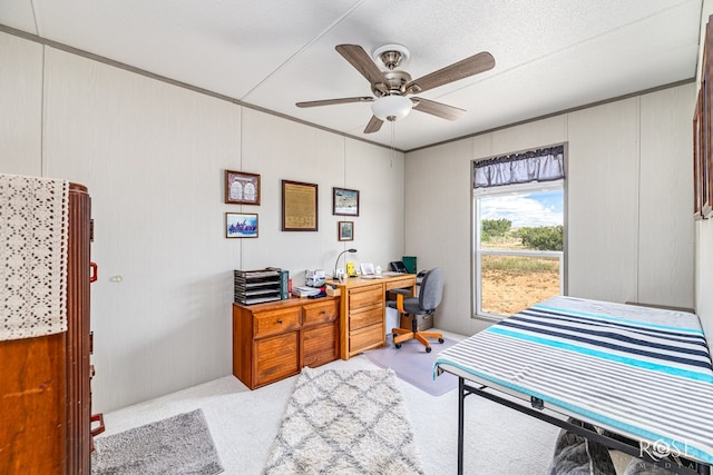 2400 Fm 2662, Bronte, TX 76933 - photo 23