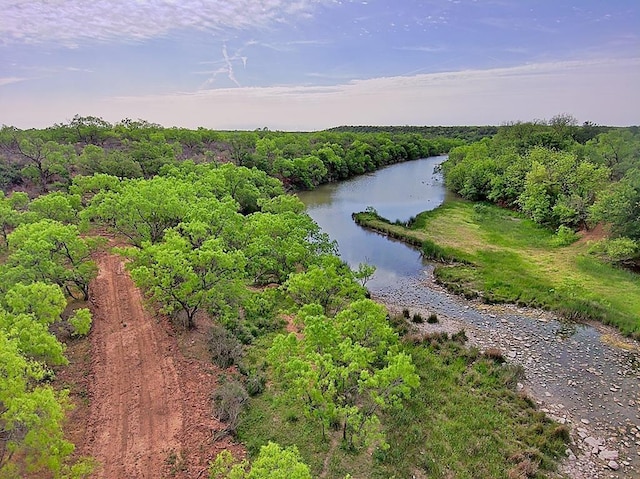 Address Not Disclosed, Coleman TX, 76834 land for sale