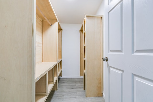 spacious closet with light hardwood / wood-style floors