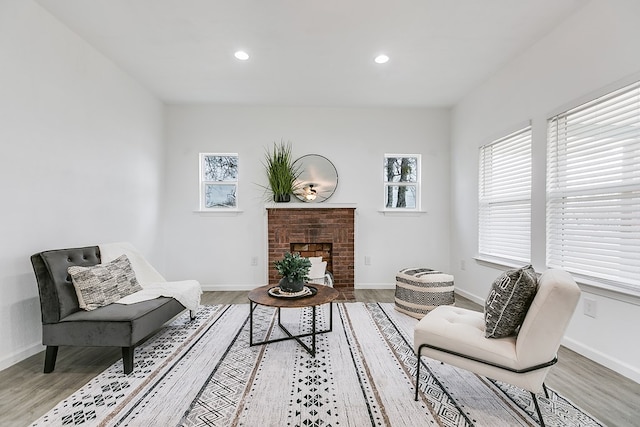 living area featuring hardwood / wood-style flooring and a fireplace