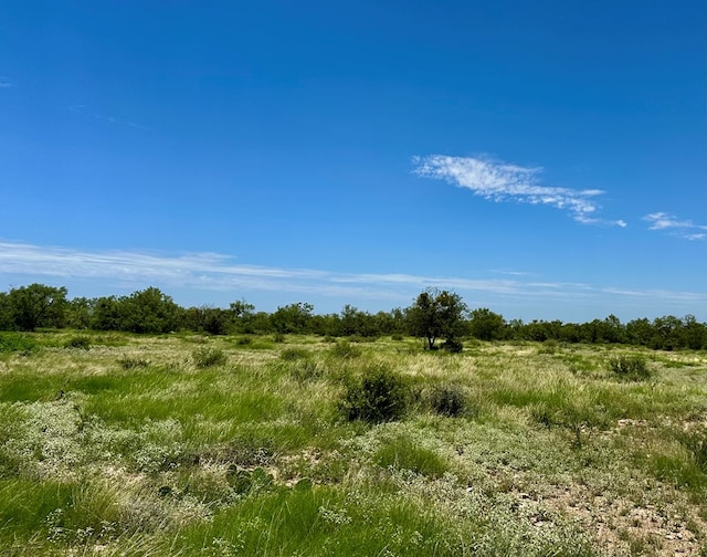 15901 Fm 2402, Paint Rock, TX 76866 - photo 65