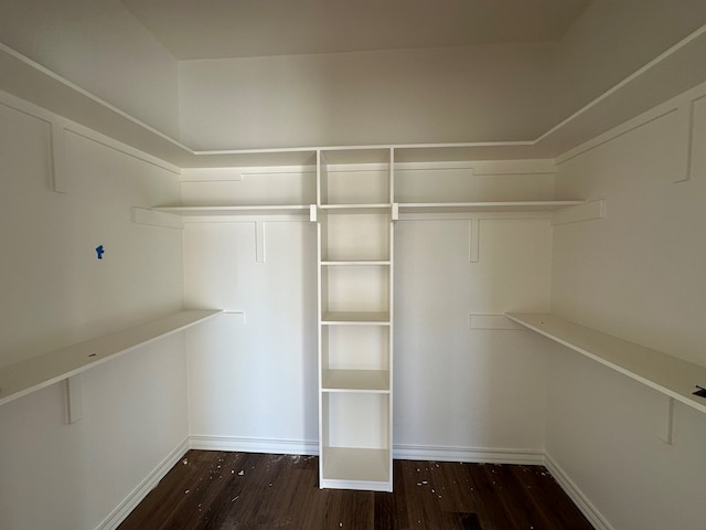 spacious closet with dark wood-type flooring