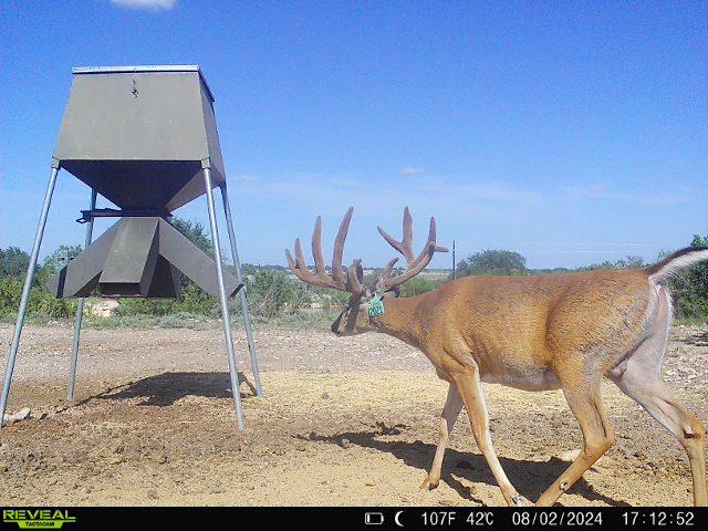 1821 Ranch Rd 864, Sonora TX, 76950 land for sale