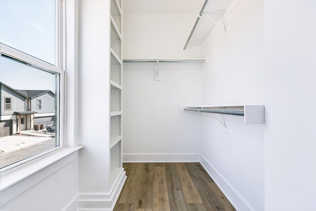 walk in closet featuring dark hardwood / wood-style floors