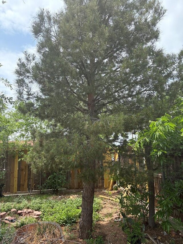 811 Akin St, San Angelo, TX 76901 - view of yard