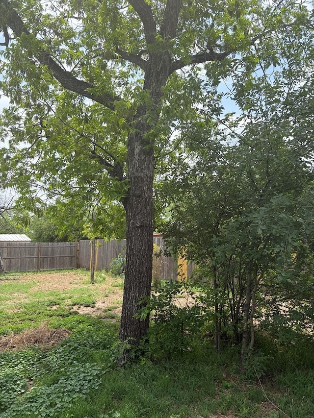 811 Akin St, San Angelo, TX 76901 - view of yard