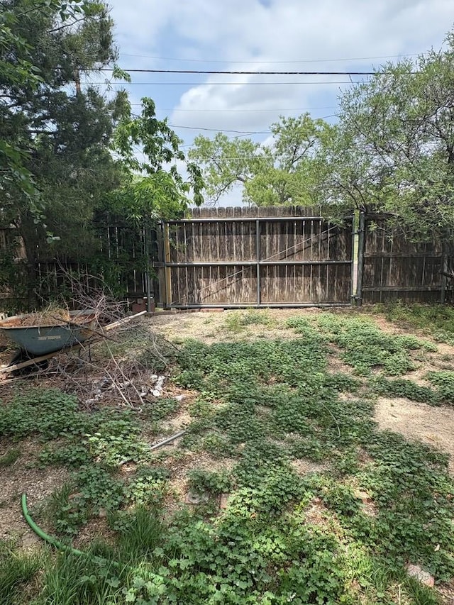 811 Akin St, San Angelo, TX 76901 - view of yard