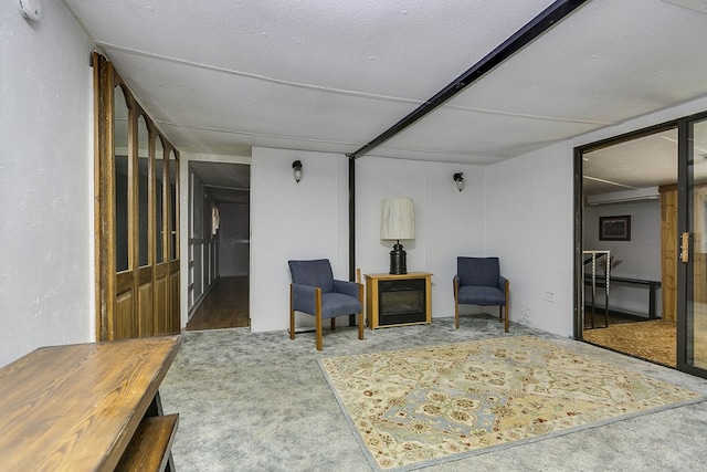 sitting room with carpet floors and a textured ceiling