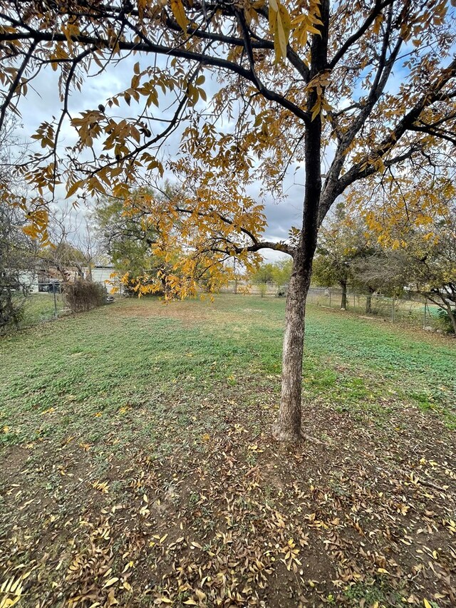20 E 39th St, San Angelo, TX 76903 - view of yard