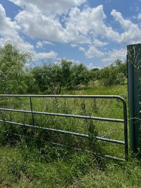 8523 Runion Rd, San Angelo, TX 76905 - view of gate