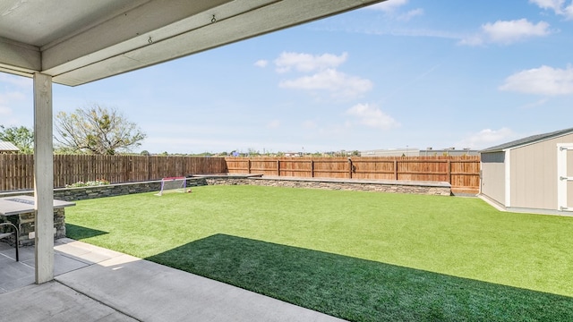 view of yard featuring a patio and a storage shed