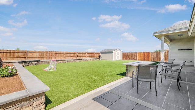 view of yard with a patio and a storage unit