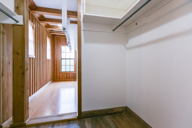 spacious closet with dark wood-type flooring