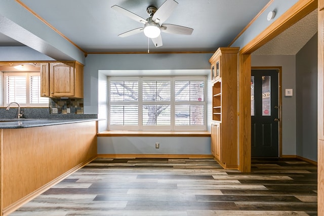 kitchen with sink, ornamental molding, dark hardwood / wood-style floors, and ceiling fan