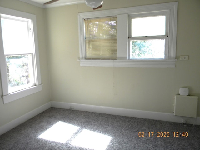 carpeted spare room featuring a wealth of natural light