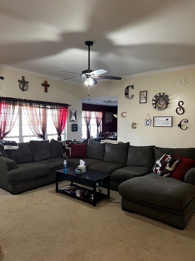 living room featuring crown molding, ceiling fan, carpet floors, and a textured ceiling