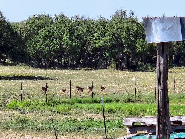 view of yard featuring a rural view