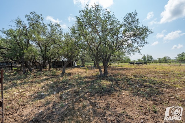 view of yard with a rural view