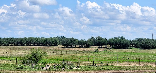 view of landscape featuring a rural view