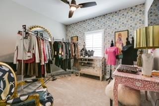 interior space featuring carpet and ceiling fan