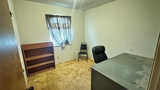 office space featuring a textured ceiling and carpet