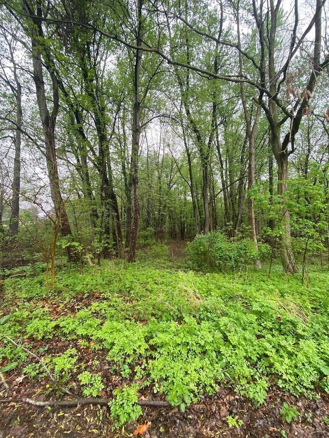 Listing photo 3 for LOT3 Rivercrest Dr Unit 3, Warsaw IN 46580