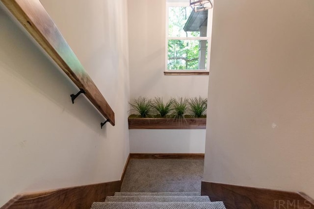 stairway featuring plenty of natural light and dark carpet