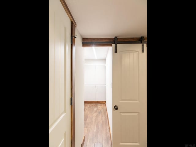 bathroom with wood-type flooring