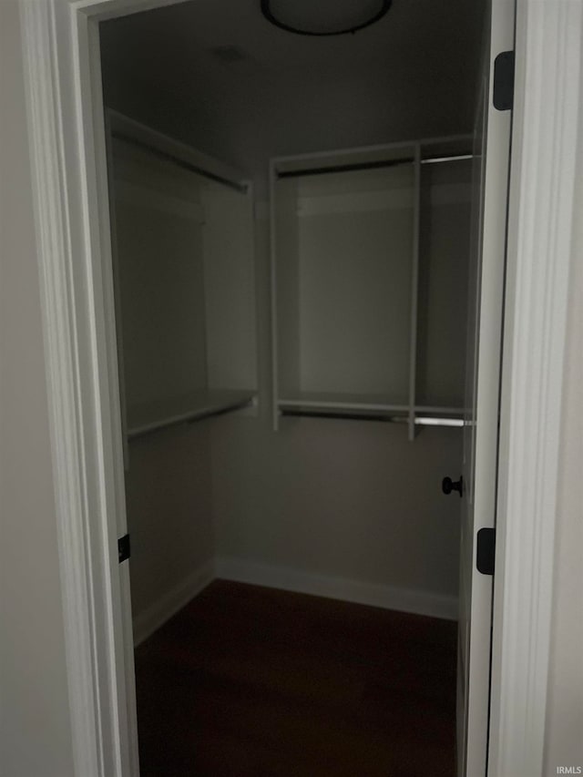 view of walk in closet