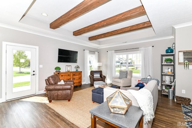 living room featuring crown molding and dark hardwood / wood-style floors