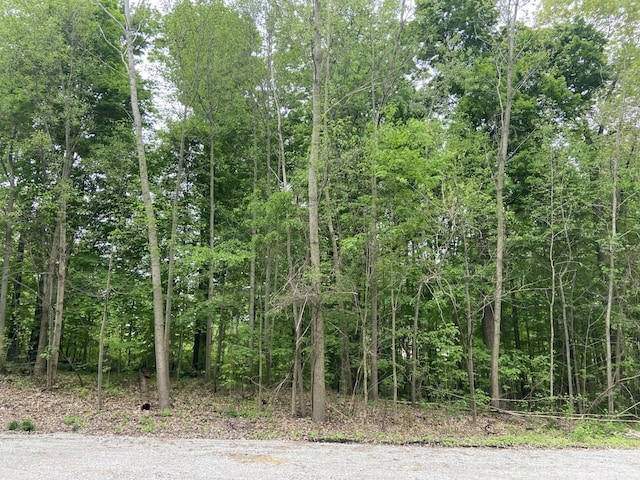 LOT178 Carnoustie Cir, Kendallville IN, 46755 land for sale