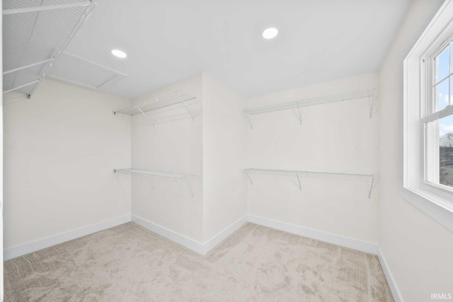 1114 Beacon Dr, Mishawaka, IN 46544 - walk in closet featuring carpet flooring and attic access