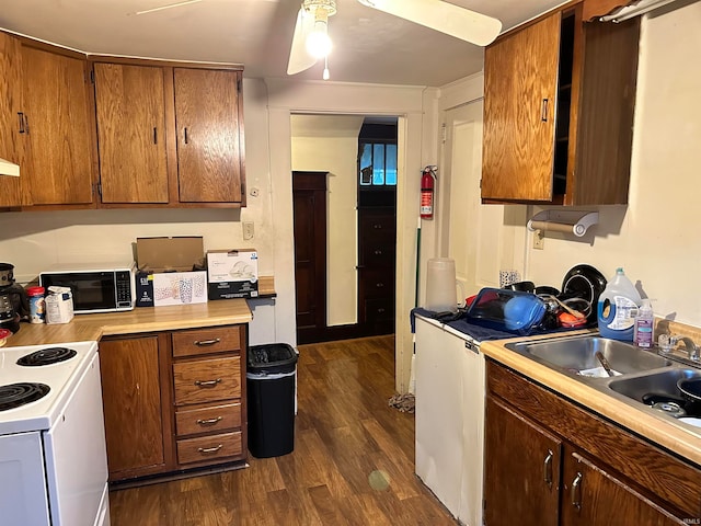 kitchen featuring ceiling fan, dark wood-type flooring, sink, and white range with electric stovetop