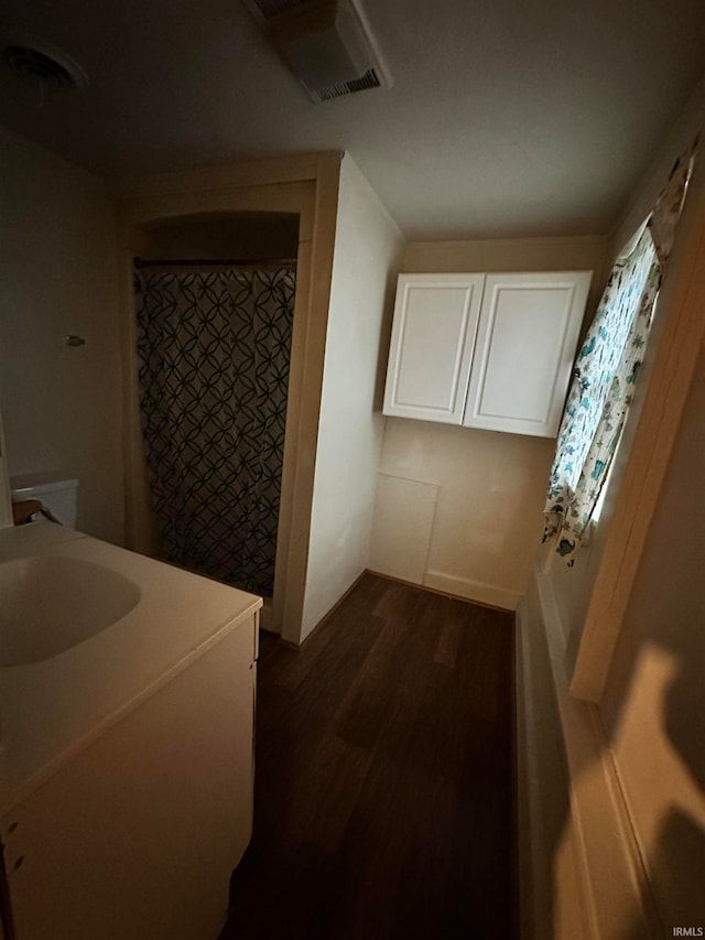 bathroom featuring wood-type flooring and vanity