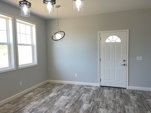 foyer with a textured ceiling, dark wood-type flooring, and a wealth of natural light