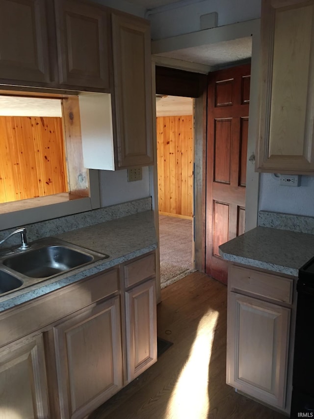 kitchen with black / electric stove, wood walls, dark hardwood / wood-style flooring, and sink