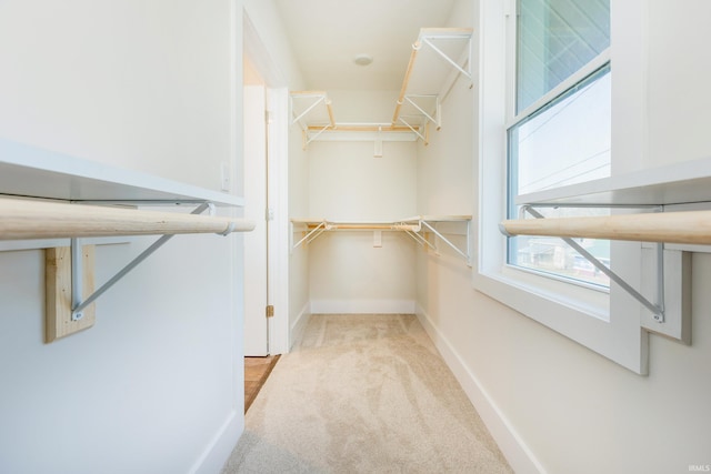 walk in closet with light carpet