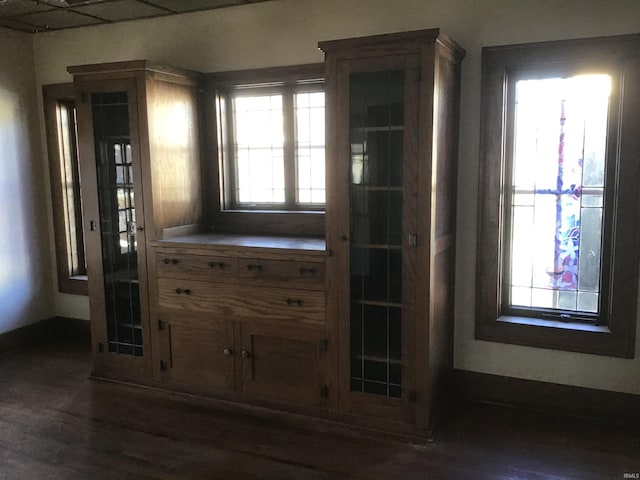 interior space featuring dark hardwood / wood-style flooring